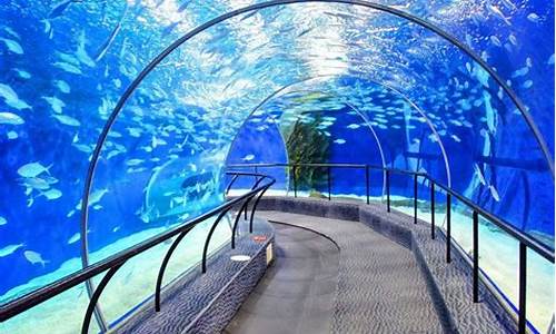 上海海洋水族馆攻略一日游_上海海洋水族馆攻略一日游路线