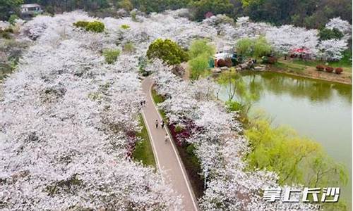 长沙玉湖公园_长沙玉湖公园在哪里