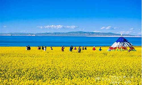 西宁自由行旅游专线_西宁 自由行