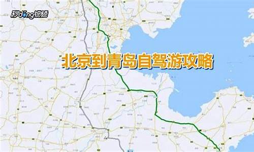 北京到青岛自驾游攻略最新路线_北京到青岛自驾游攻略最新路线图