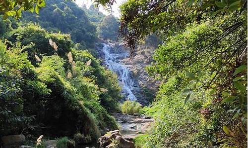 马峦山郊野公园攻略路线图_马峦山郊野公园攻略路线图片