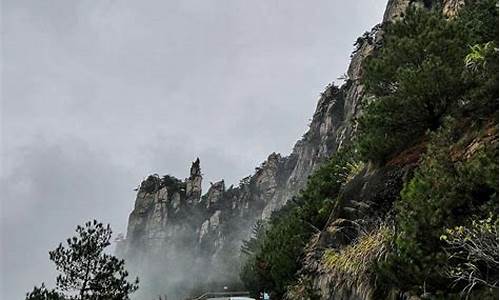 江浙沪自驾游路线推荐花鸟岛_江浙沪自驾游路线推荐花鸟岛游玩