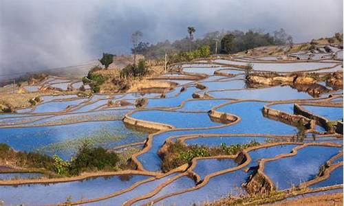 红河哈尼梯田_红河哈尼梯田文化景观