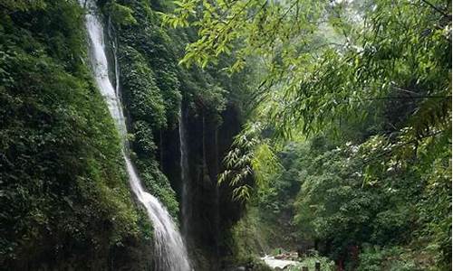 重庆旅游景点黑山谷有哪些_重庆旅游景点黑山谷