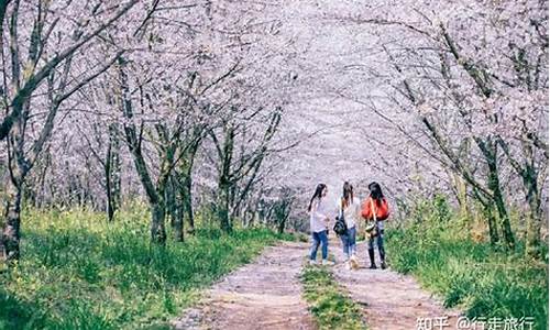 春季旅游景点拍照_春季旅游景区哪里好玩