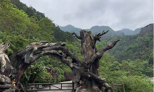 永嘉龙湾潭_永嘉龙湾潭森林公园