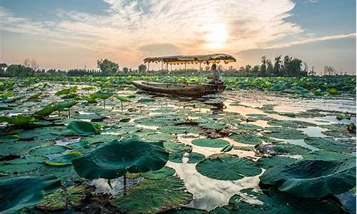 河北白洋淀简介_河北白洋淀旅游景点简介