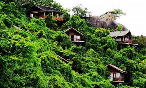 三亚旅游景点森林公园_三亚森林公园景点介绍