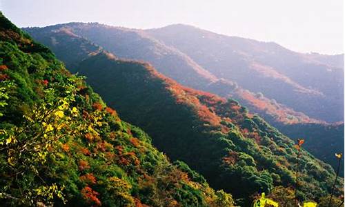 红河谷森林公园里面住宿_红河谷森林公园里面住宿多少钱