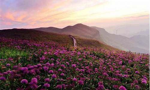 韭菜坪自驾旅游攻略及线路_自驾韭菜坪游玩攻略