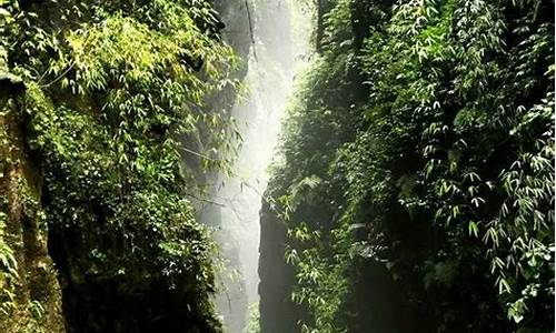 重庆旅游景点黑山谷_重庆旅游景点黑山谷介绍文案