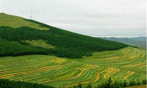 草原天路自驾游攻略 详细游记手稿(两次整理)_草原天路自驾游全攻略