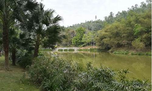 龙岗龙城公园门票多少钱_龙岗龙城公园门票多少钱一张