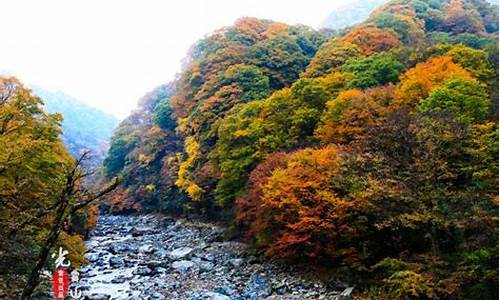 巴中光雾山旅游攻略特产_巴中光雾山景点门票多少钱