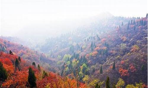 西山森林公园住宿_西山森林公园住宿价格