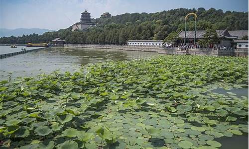 14年北京郊区公园年票_2021北京郊区公园年票