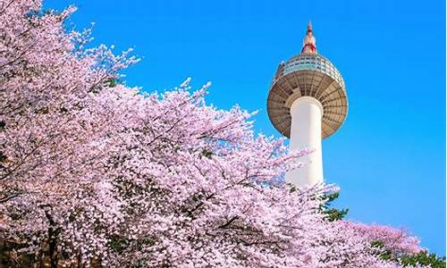 韩国旅游攻略自由行花费大概多少_韩国旅游攻略自由行花费大概多少钱